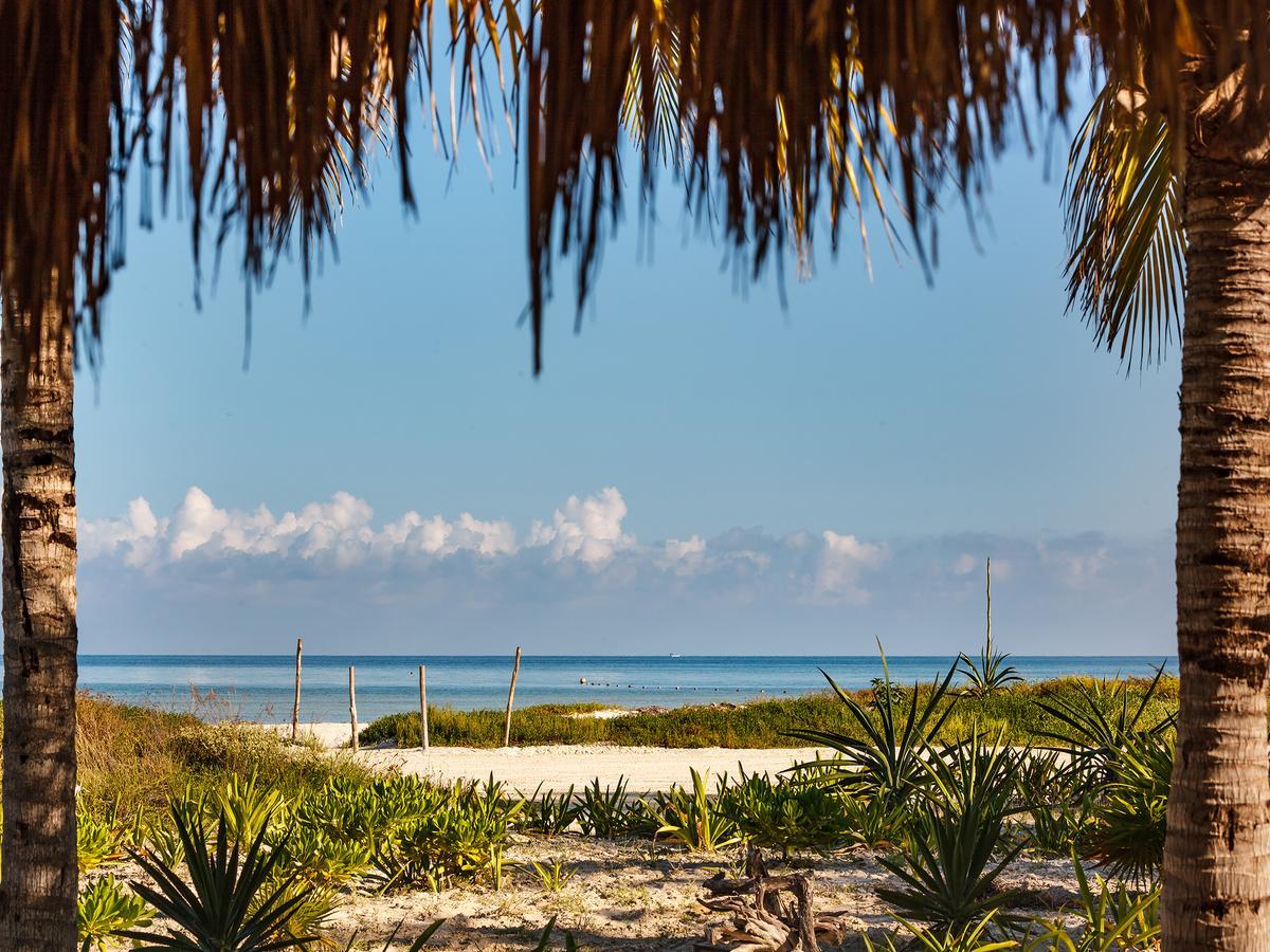 Villas Hm Palapas Del Mar Isla Holbox Exterior photo